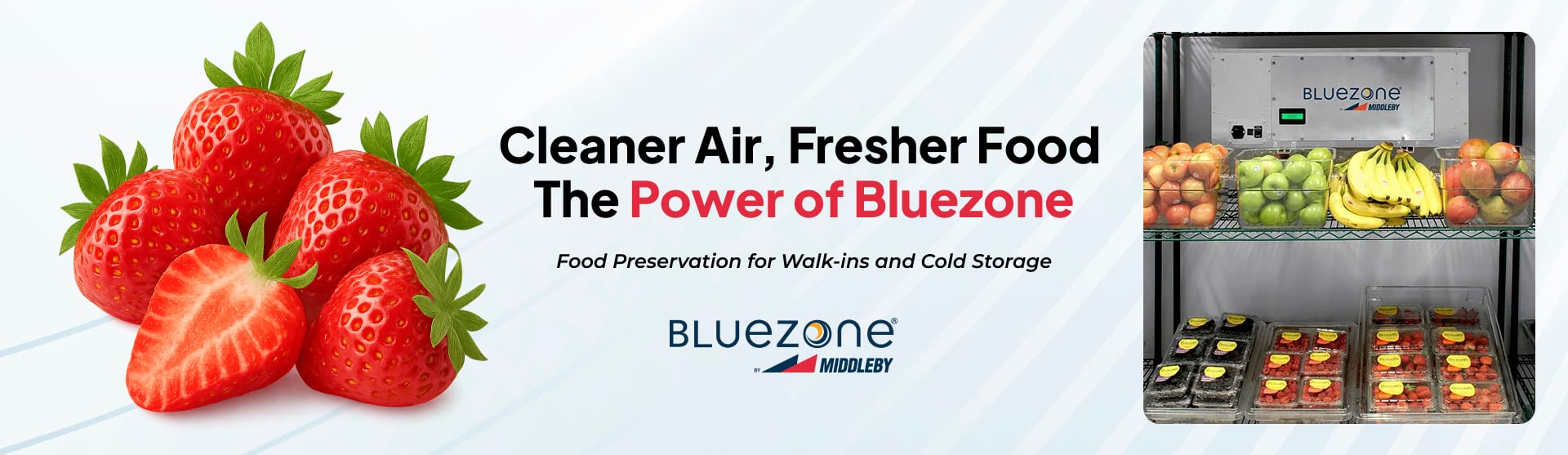 Banner-Blue-Zone-Updated